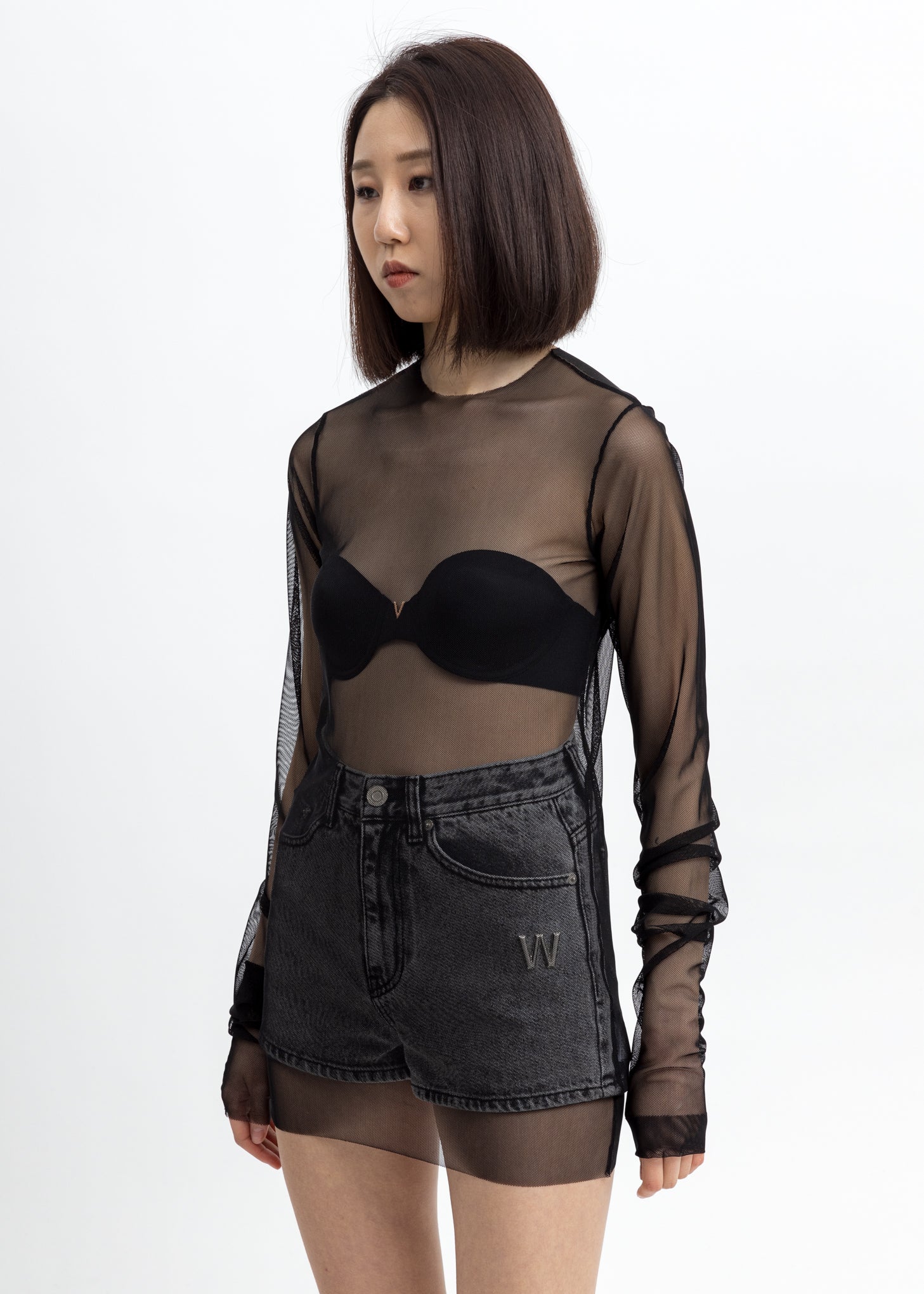 Black Mesh Long Sleeves - Image 3