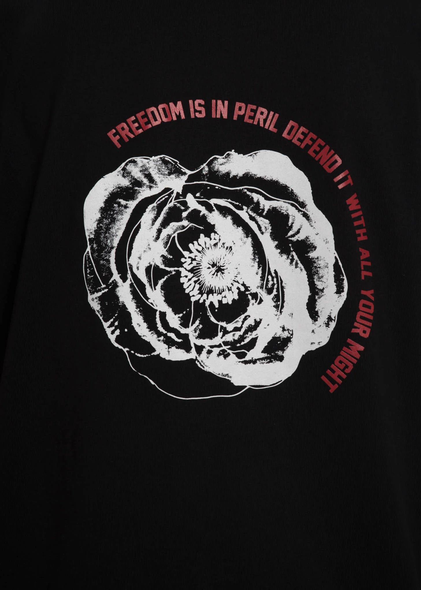 Black Poppy T-Shirt - Image 3