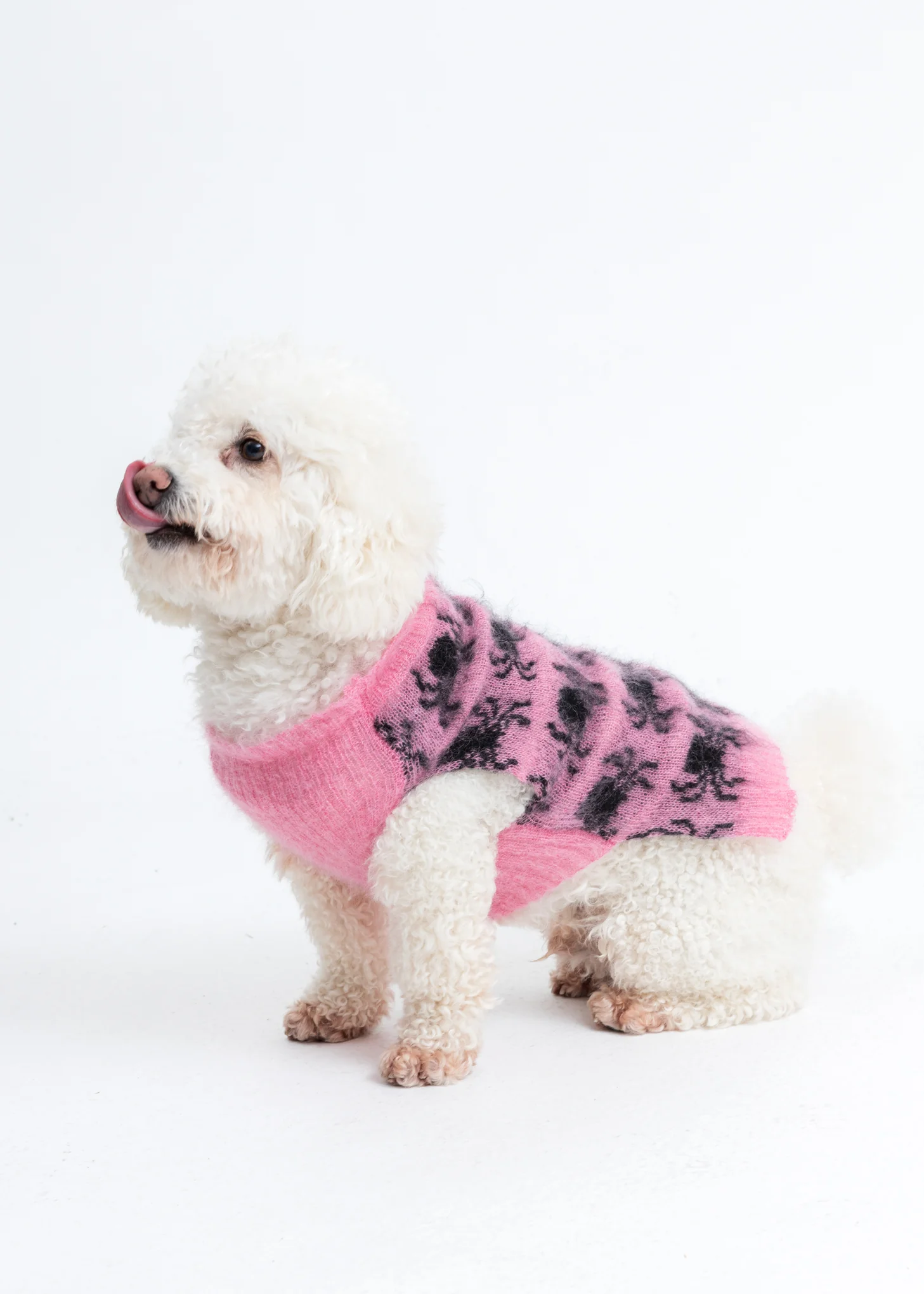 Knit Dog Jumper / Spider