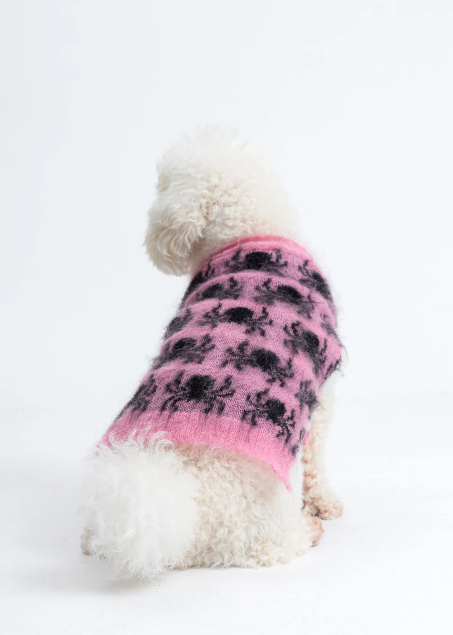 Knit Dog Jumper / Spider - Image 2