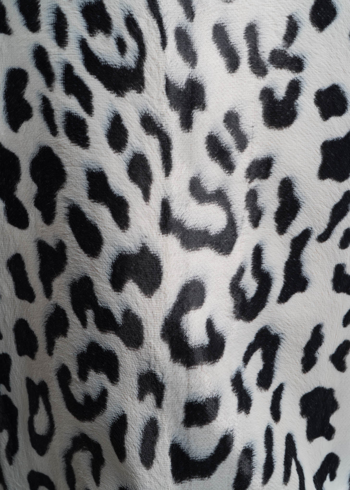 Leopard Iggy Teddy Jacket - Image 8