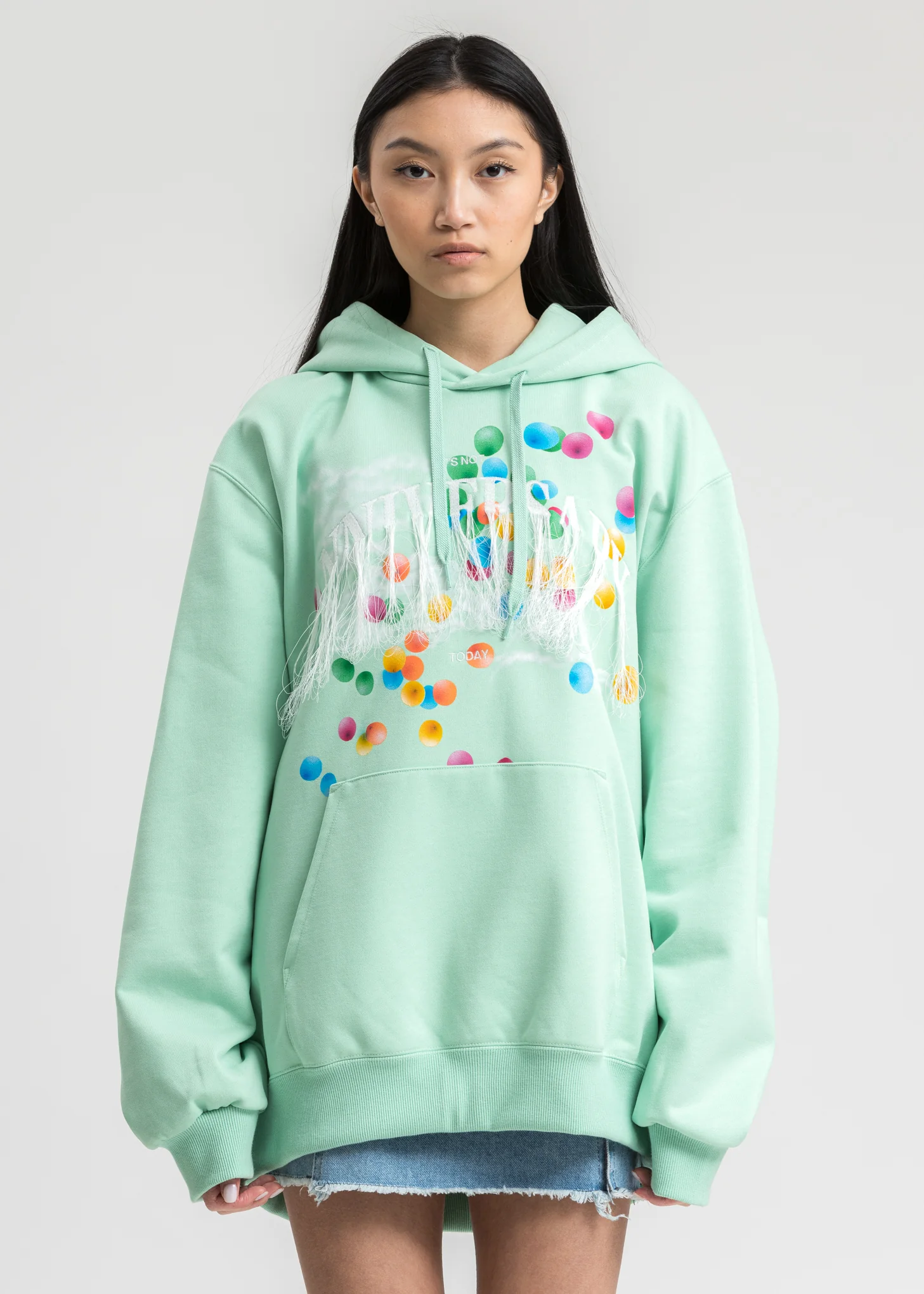 Mint Not Anniversary Embroidery Hoodie