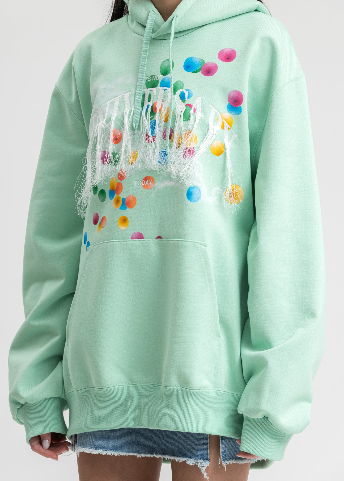 Mint Not Anniversary Embroidery Hoodie - Image 2