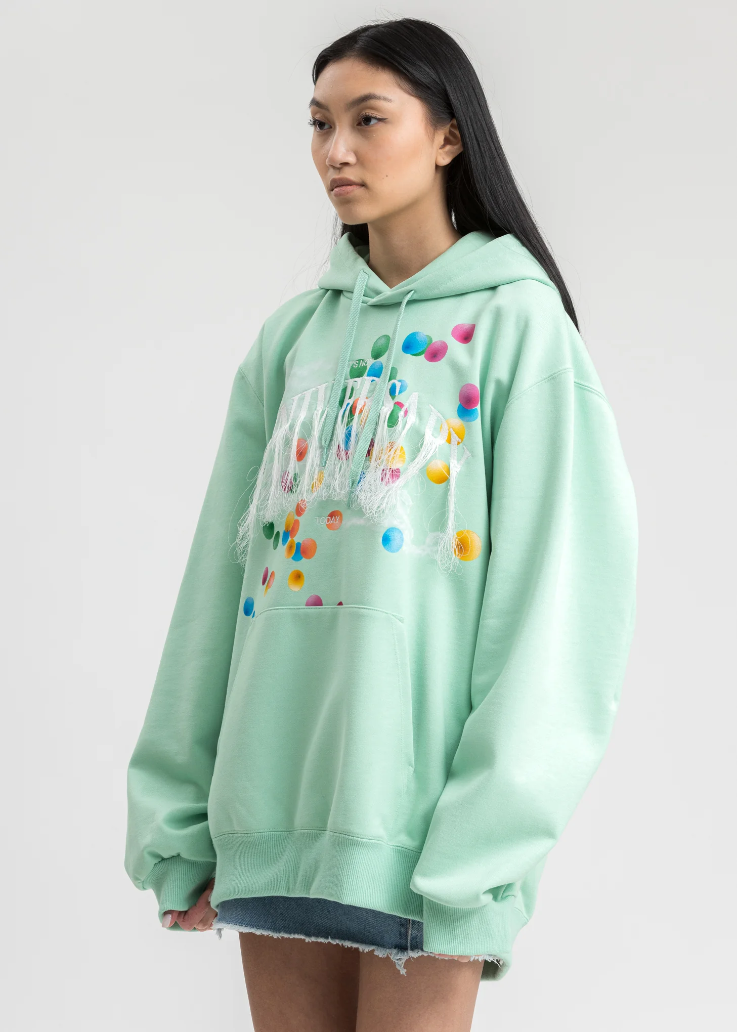 Mint Not Anniversary Embroidery Hoodie - Image 3