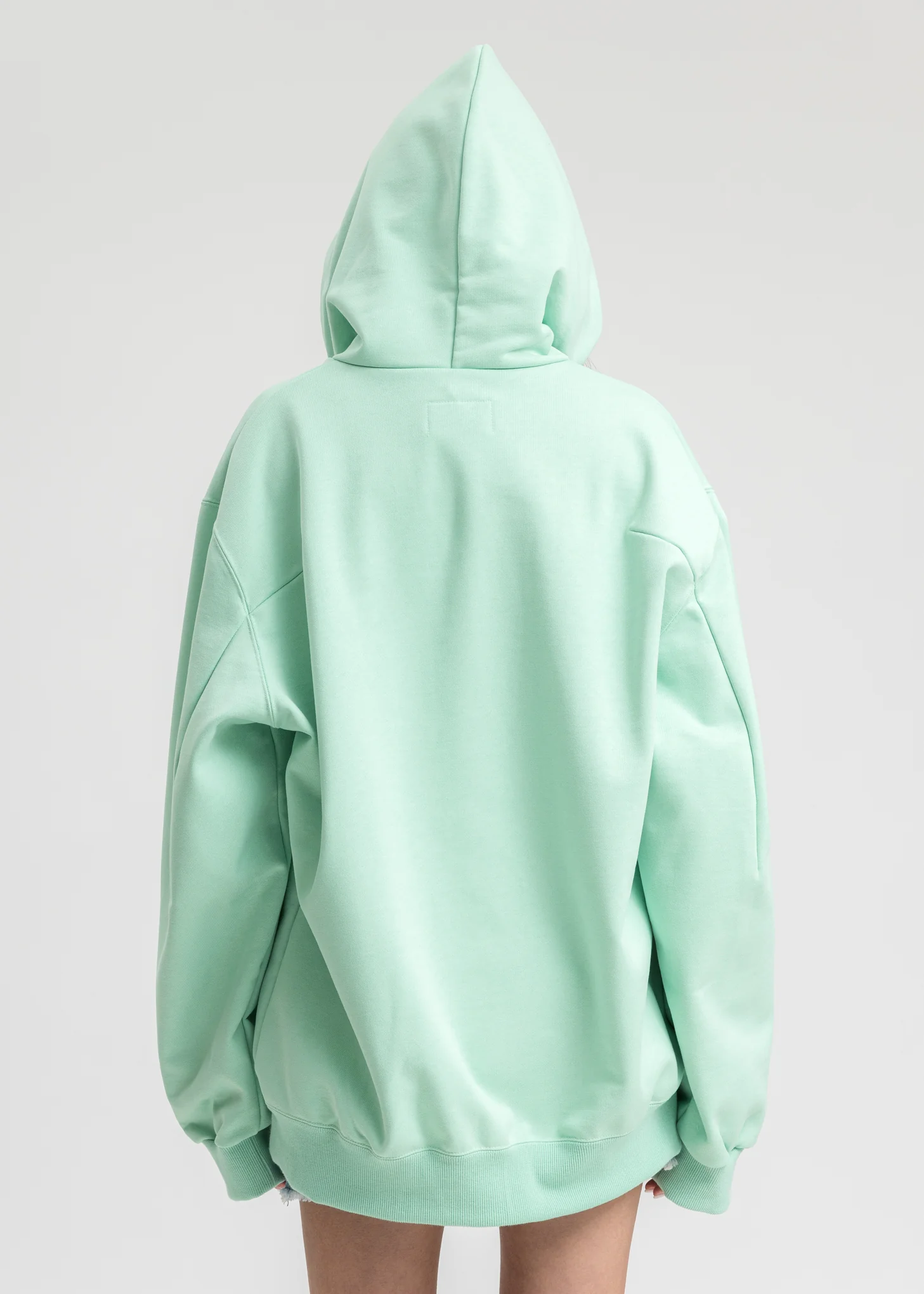 Mint Not Anniversary Embroidery Hoodie - Image 4