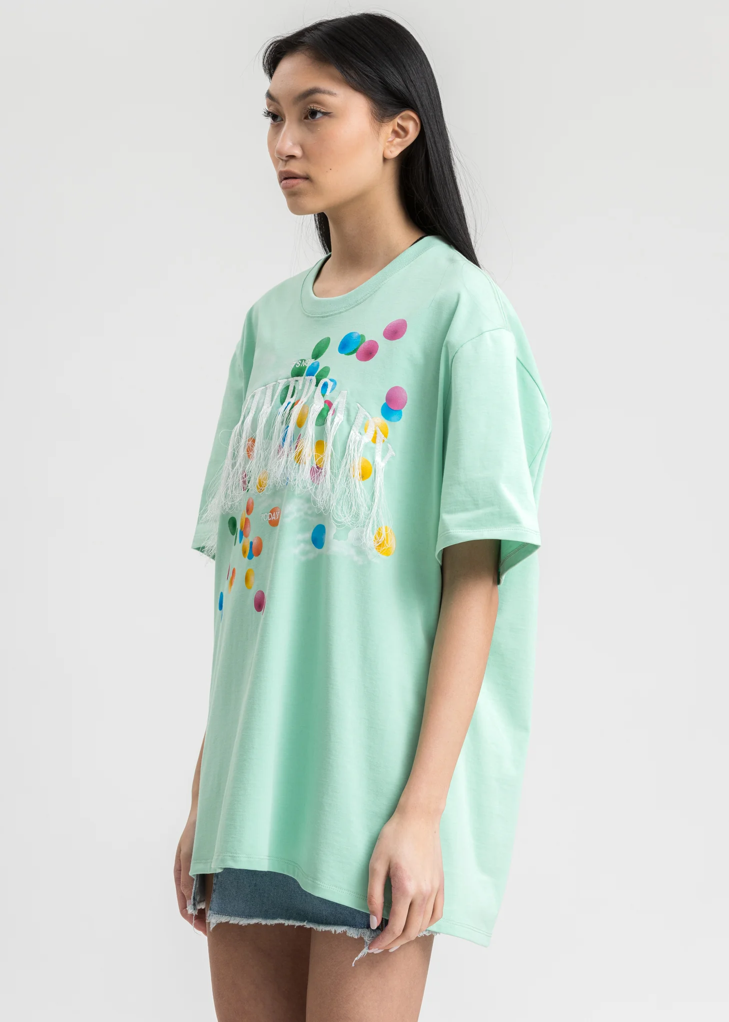 Mint Not Anniversary Embroidery T-Shirt - Image 3