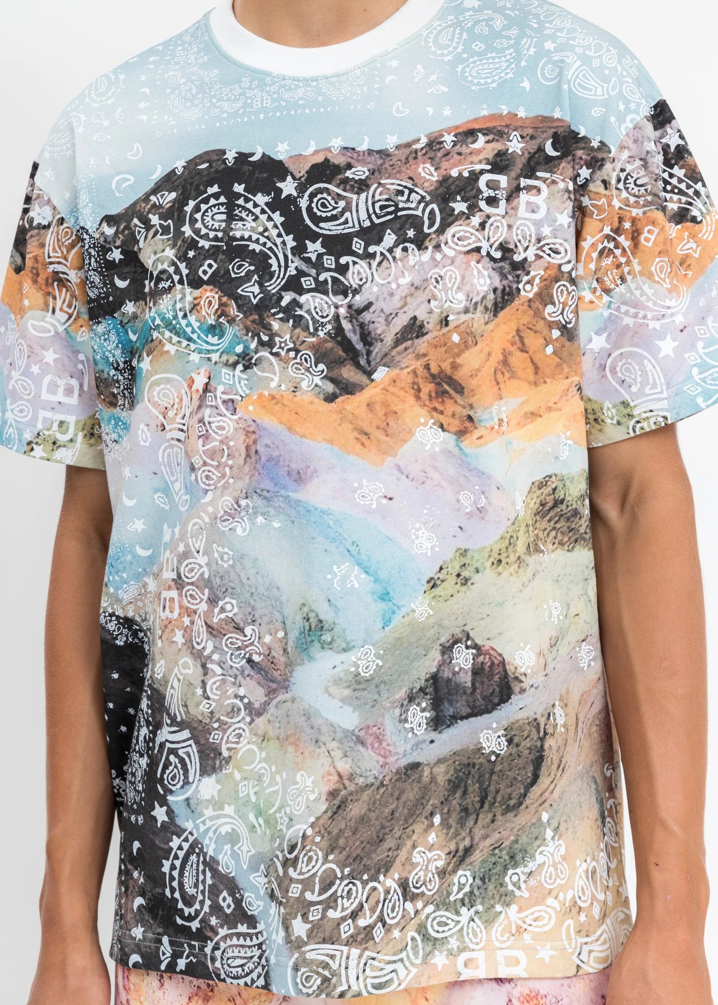 Multi Bandana Mountain Printed T-Shirt - Image 4