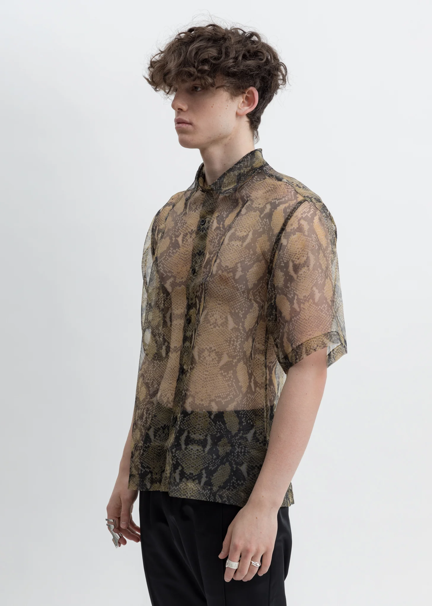 Snake Organza Dante Shirt - Image 3