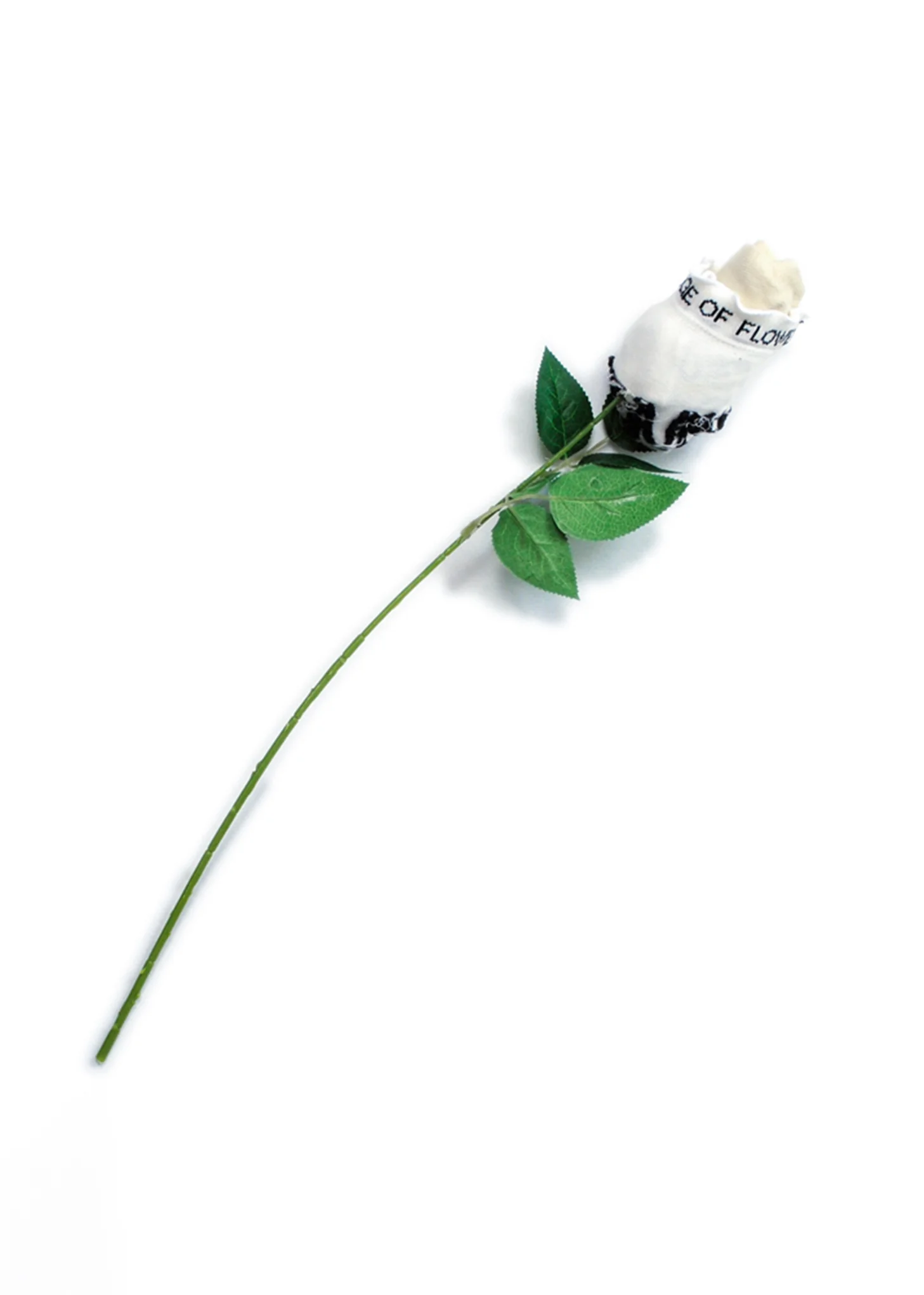 White A Rose Socks - Image 4